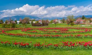 Arboretum